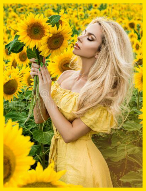 THE SUNFLOWER PATCH