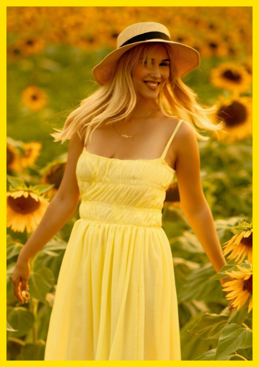 THE SUNFLOWER PATCH
