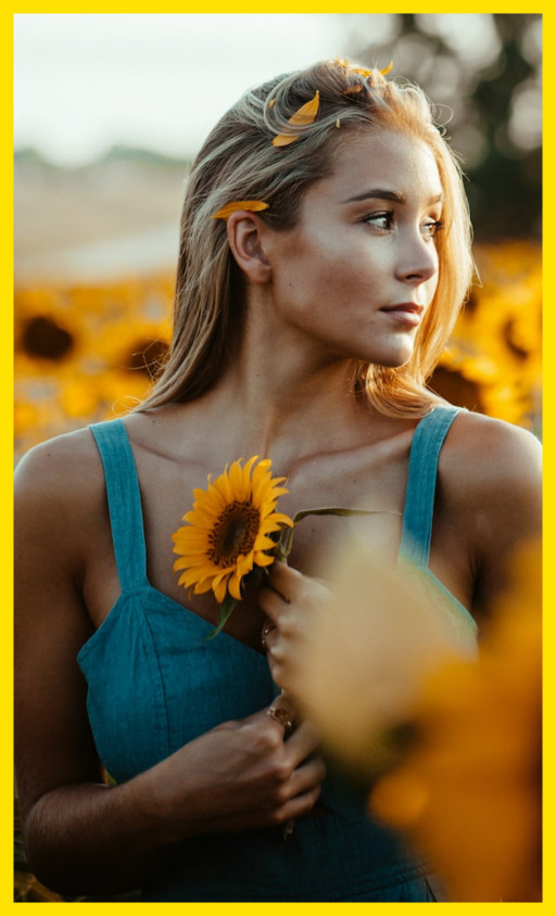 THE SUNFLOWER PATCH