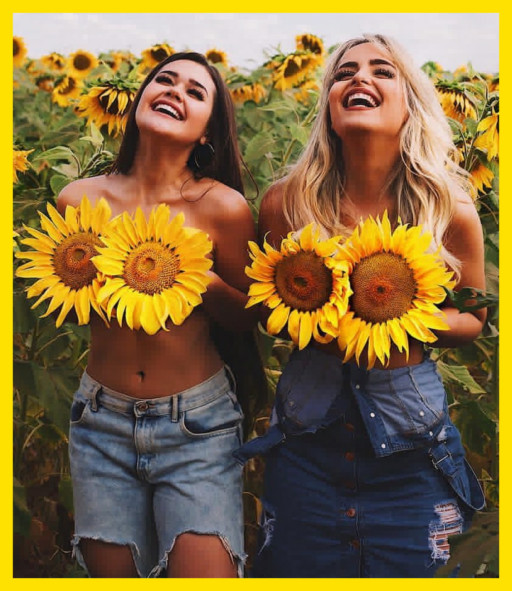 THE SUNFLOWER PATCH