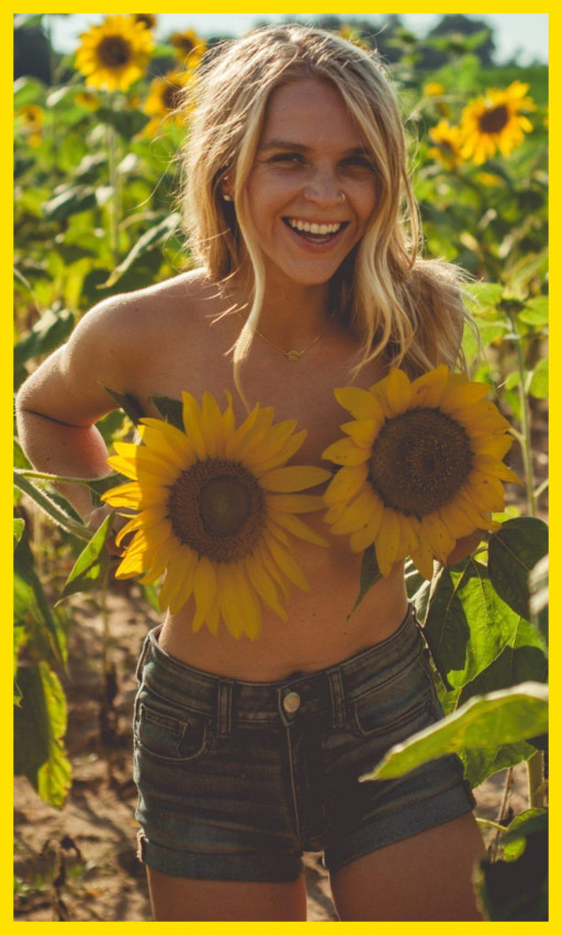 THE SUNFLOWER PATCH