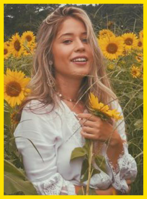 THE SUNFLOWER PATCH