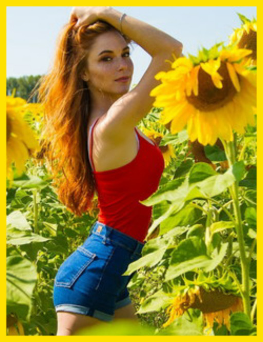 THE SUNFLOWER PATCH