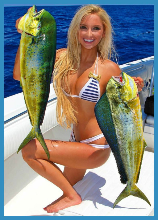 SOMETHING SEEMS FISHY