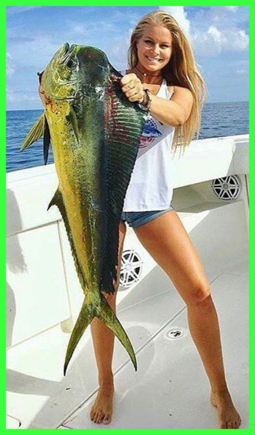 SOMETHING SEEMS FISHY