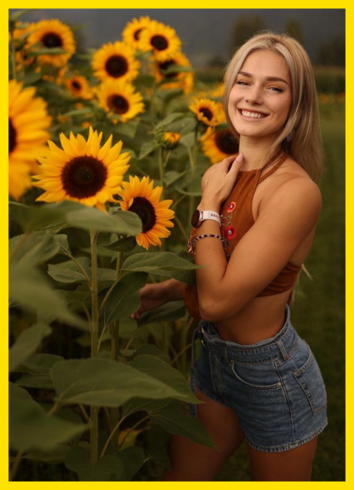 THE SUNFLOWER PATCH