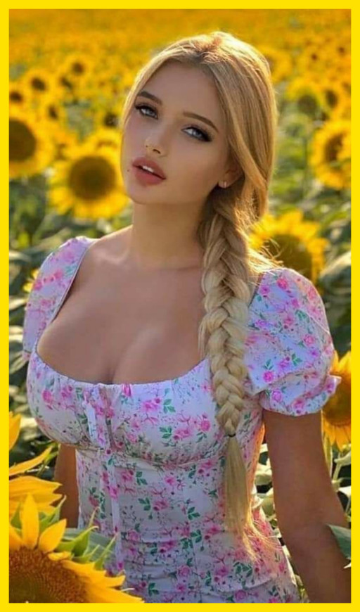 THE SUNFLOWER PATCH