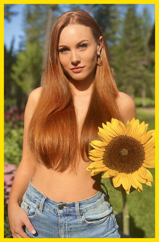 THE SUNFLOWER PATCH
