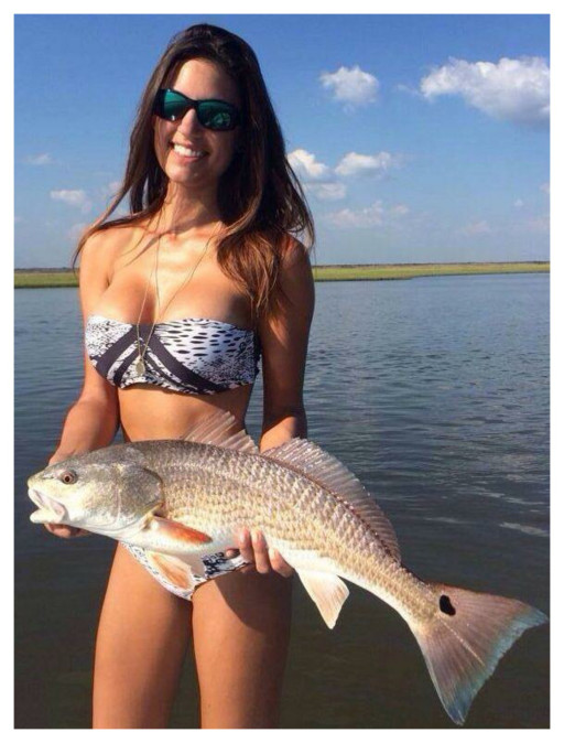 SOMETHING SEEMS FISHY