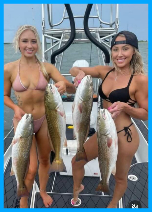 SOMETHING SEEMS FISHY