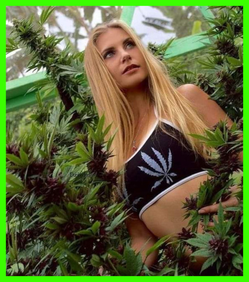 STONER GIRLS