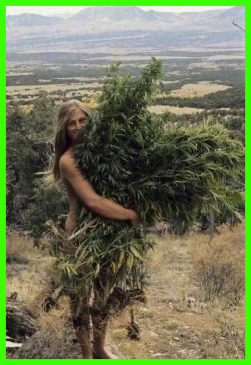STONER GIRLS