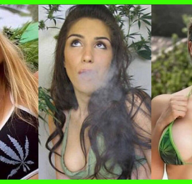 STONER GIRLS